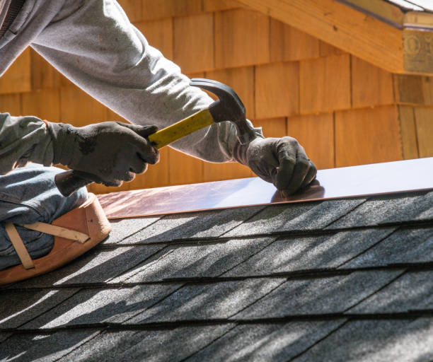 Professional Roofing Contractor in Lake Shore, WA